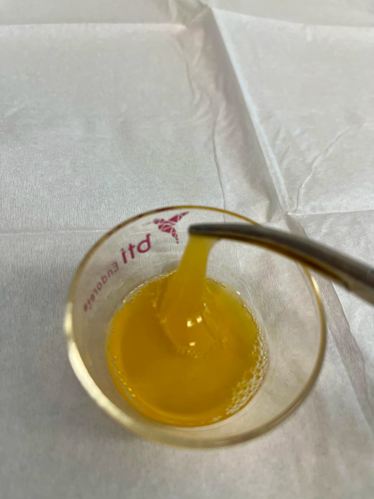 Bone Grafting Overview Image